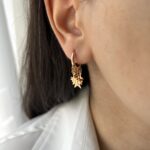 گوشواره ژوپینگ مدل ستاره کد E1012