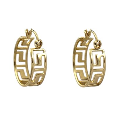 گوشواره زنانه ژوپینگ مدل ورساچه کد E6076