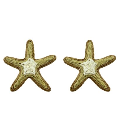 گوشواره زنانه مدل ستاره کد E6040