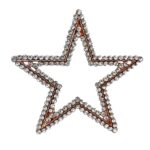 گل سینه زنانه مدل ستاره کد G4080