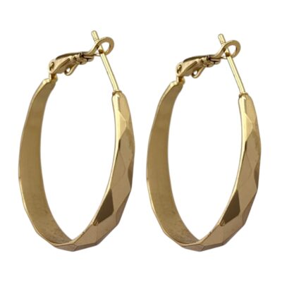 گوشواره زنانه ژوپینگ مدل حلقه ای کد E5946